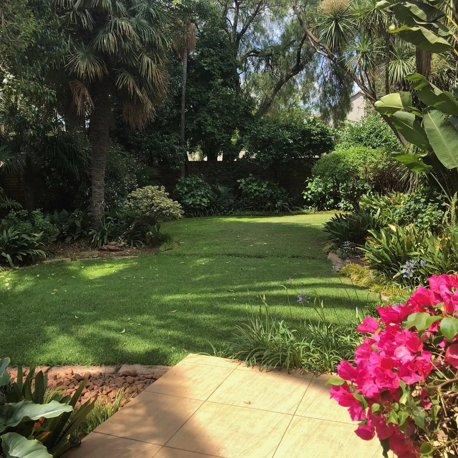 Garden & Pool at 27A on Angus — 02
