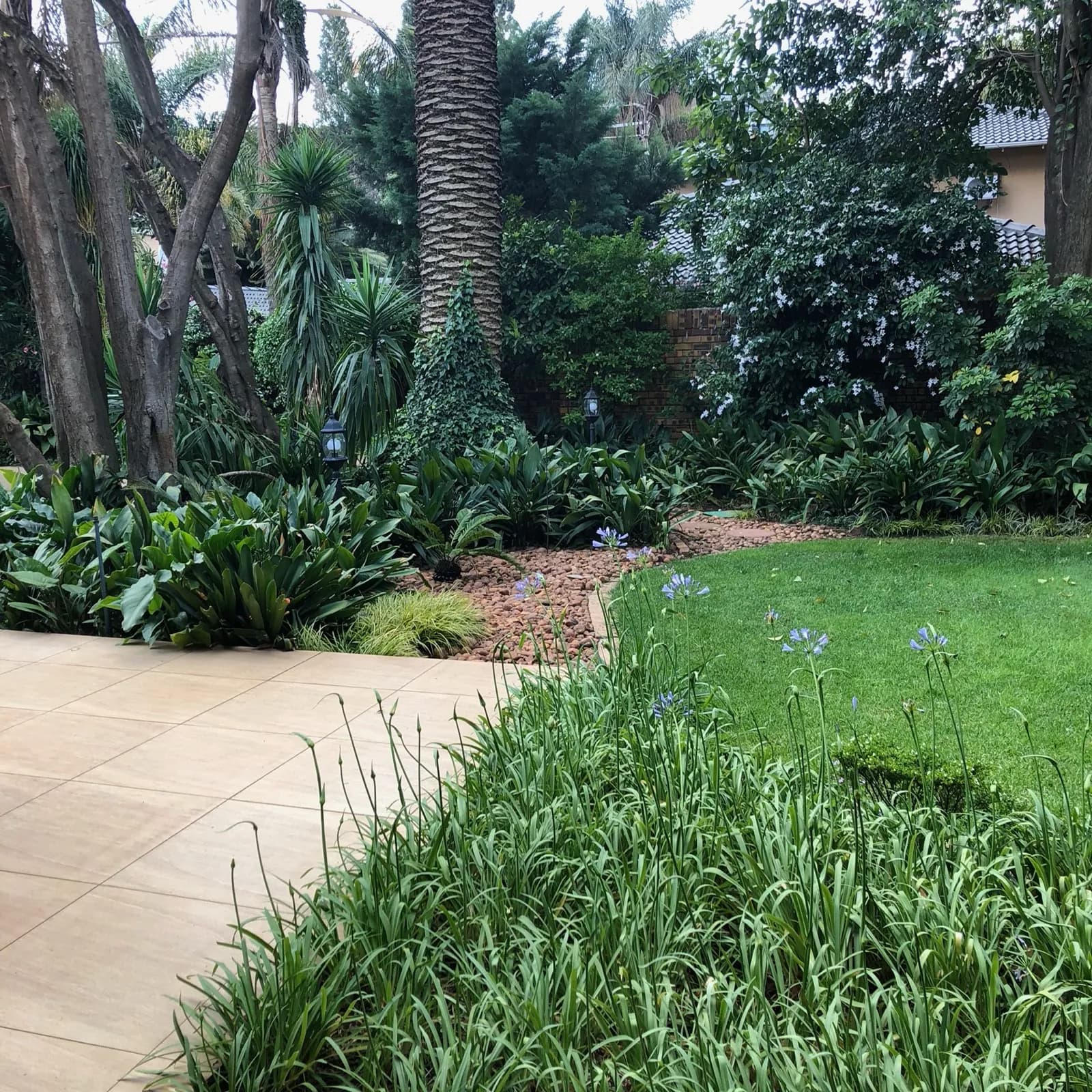 Garden & Pool at 27A on Angus — 03