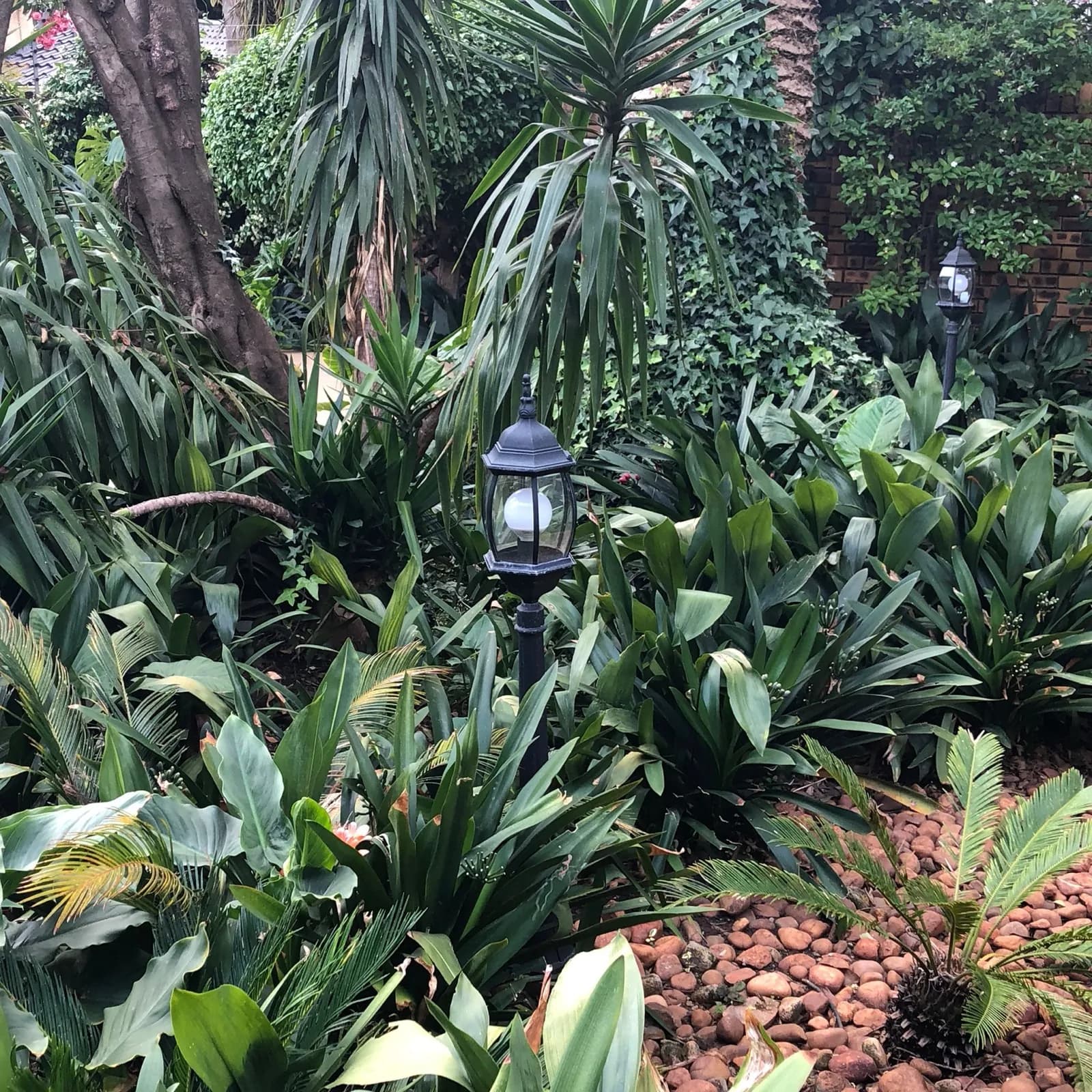 Garden & Pool at 27A on Angus — 04