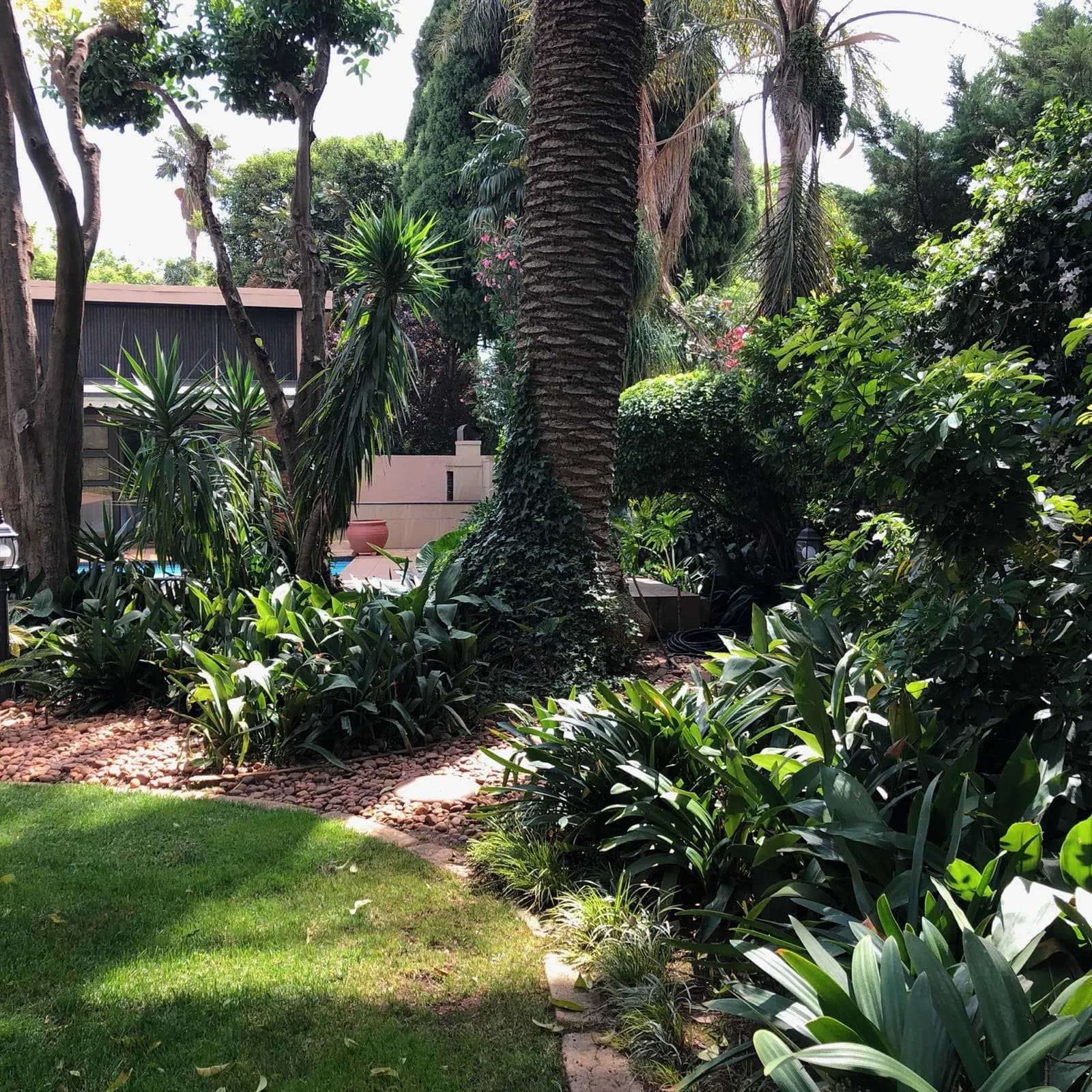 Garden & Pool at 27A on Angus — 05