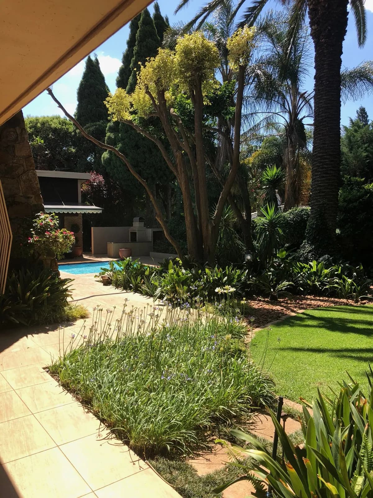 Garden & Pool at 27A on Angus — 09