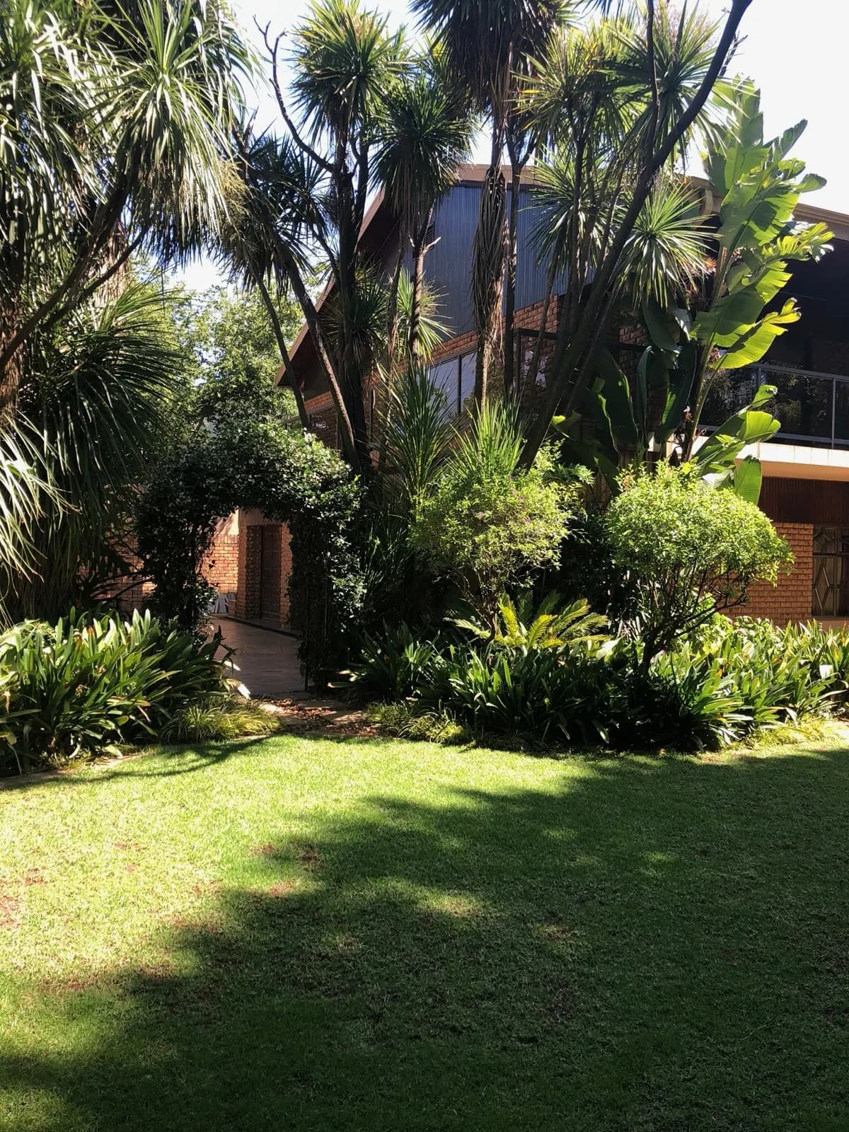 Garden & Pool at 27A on Angus — 10