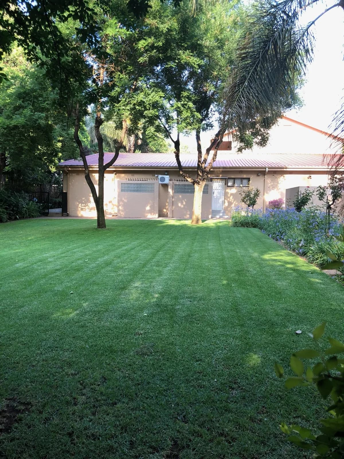 Garden & Pool at 27A on Angus — 11