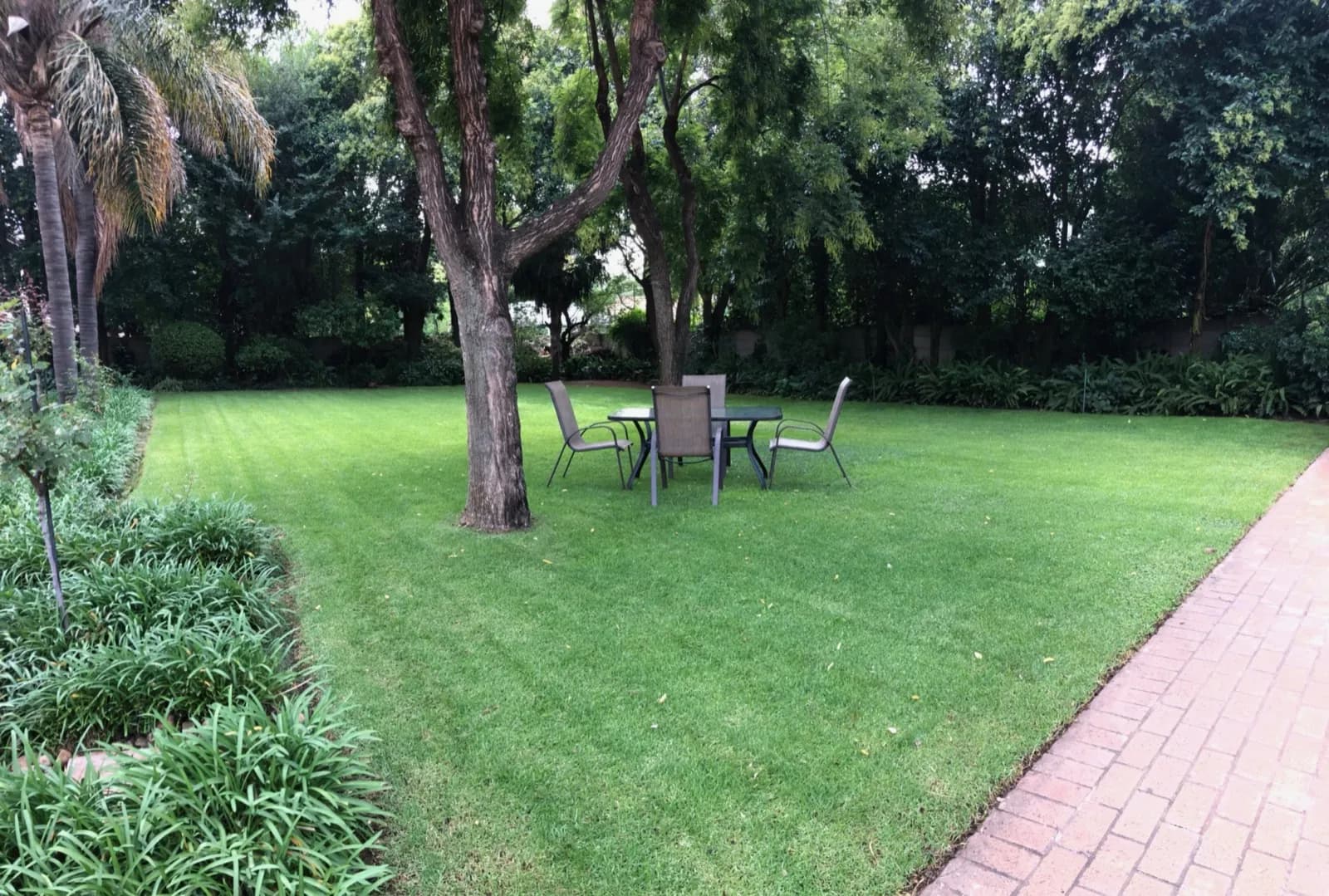 Garden & Pool at 27A on Angus — 15