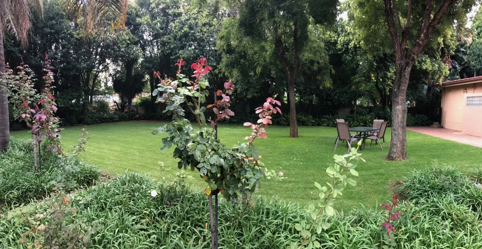 Garden & Pool at 27A on Angus — 16