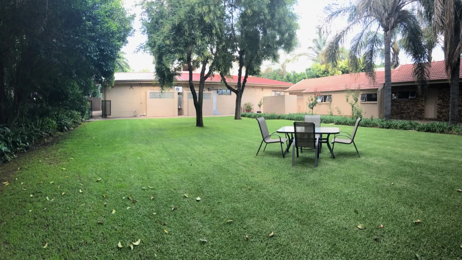 Garden & Pool at 27A on Angus — 22