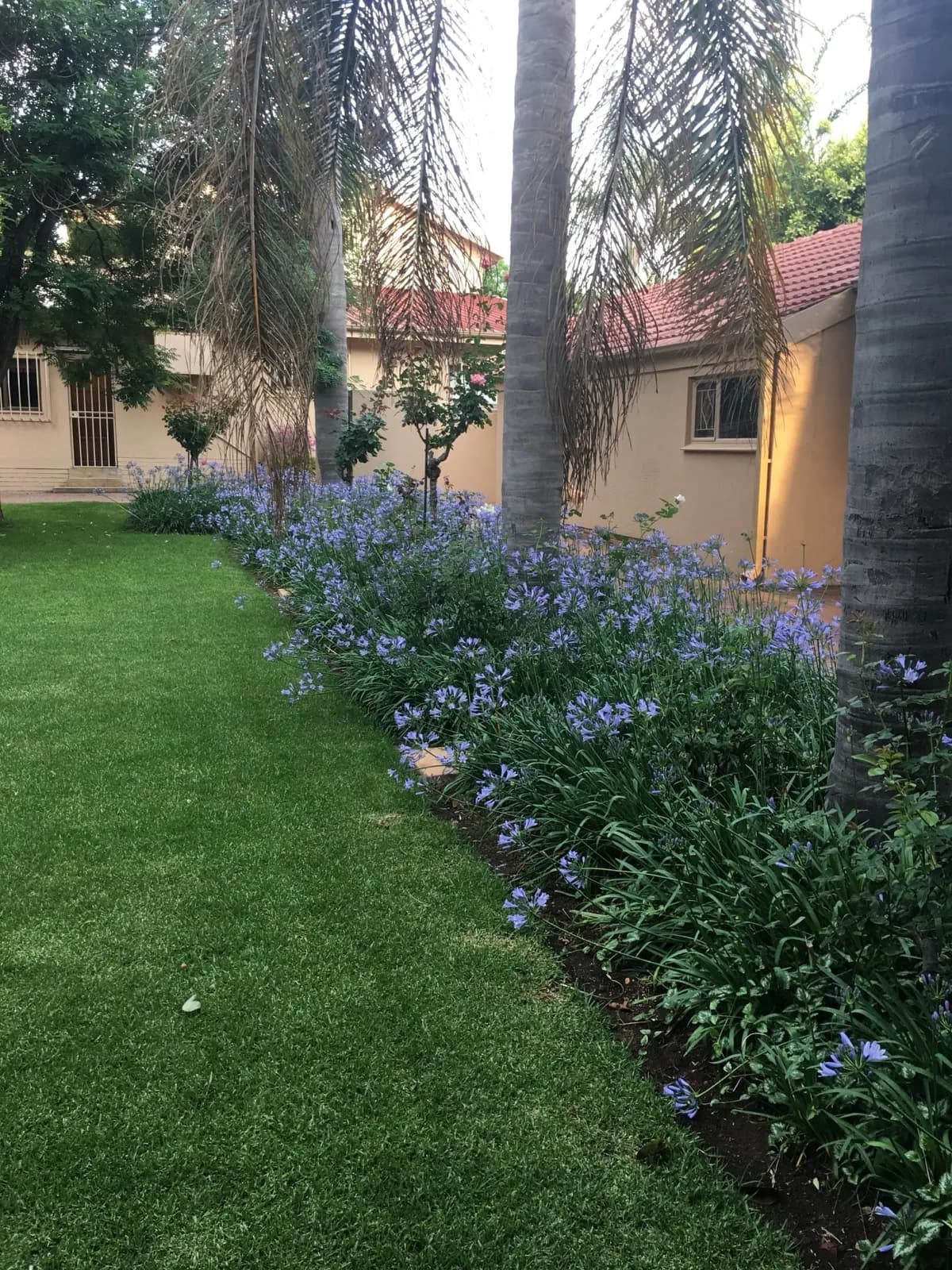 Garden & Pool at 27A on Angus — 30