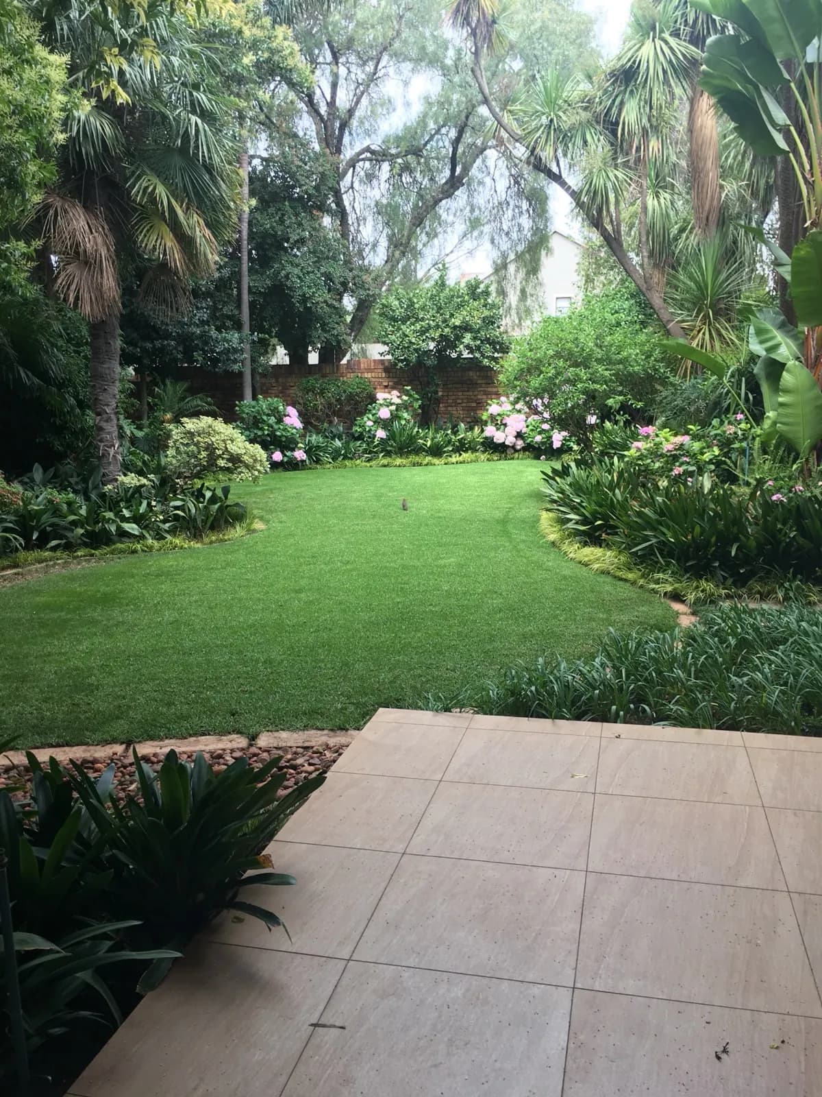 Garden & Pool at 27A on Angus — 31