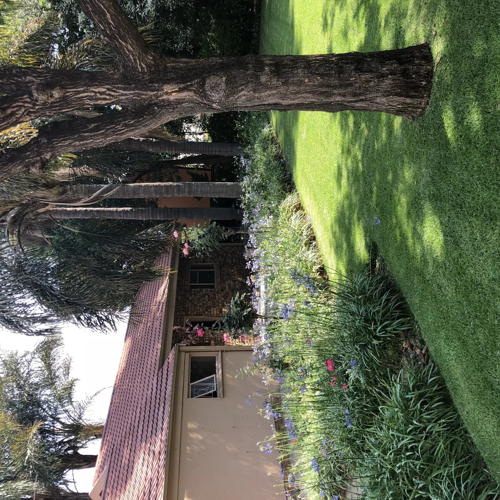 Garden & Pool at 27A on Angus — 35
