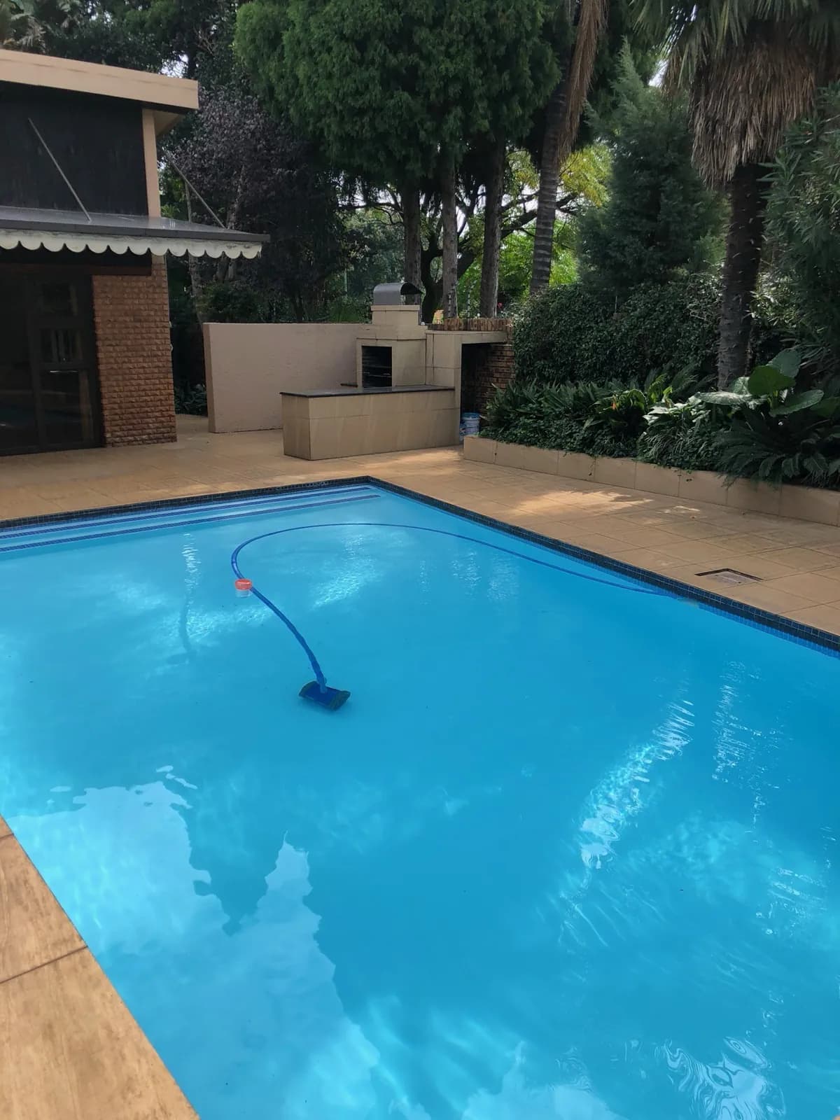 Garden & Pool at 27A on Angus — 01