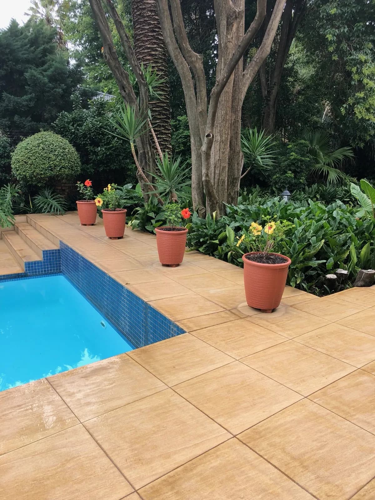Garden & Pool at 27A on Angus — 03