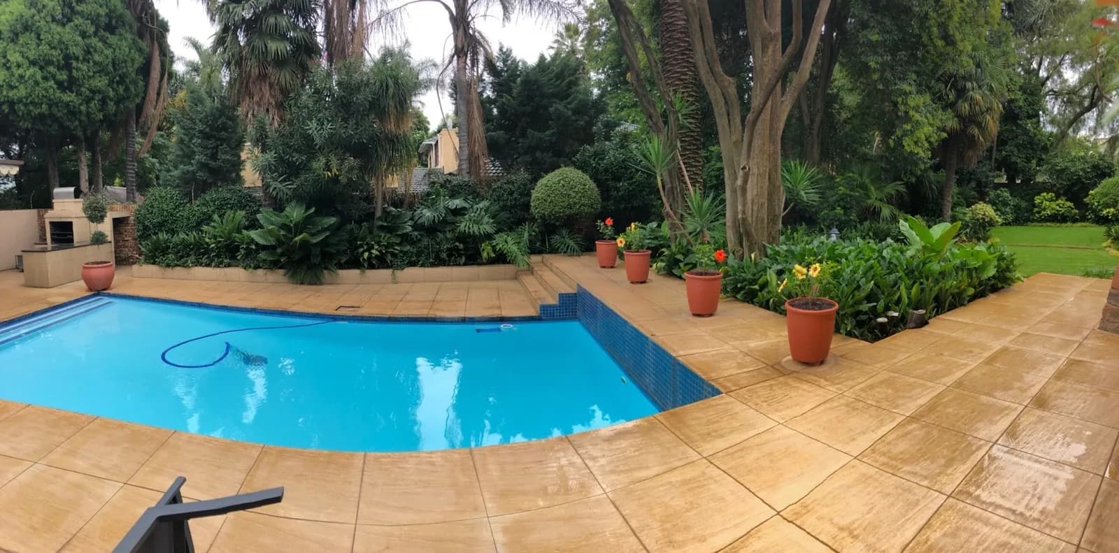 The pool and garden at 27A on Angus
