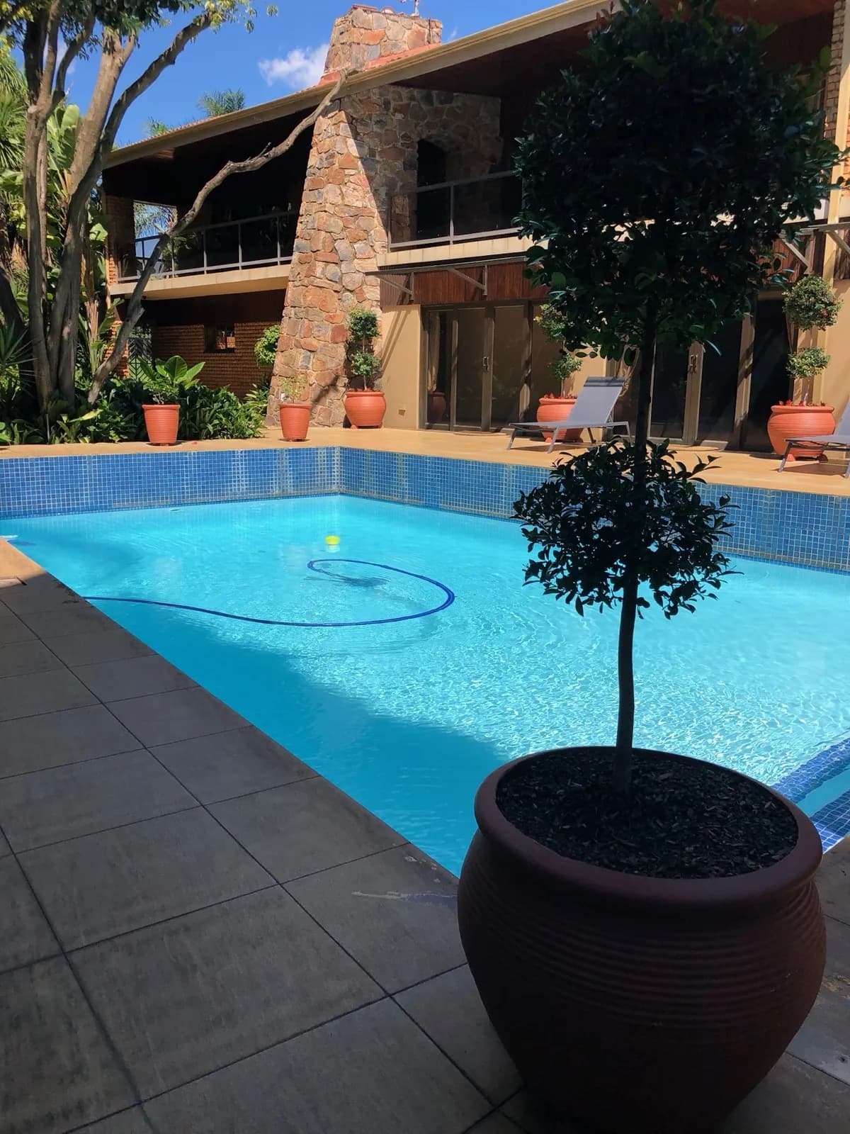 Garden & Pool at 27A on Angus — 05