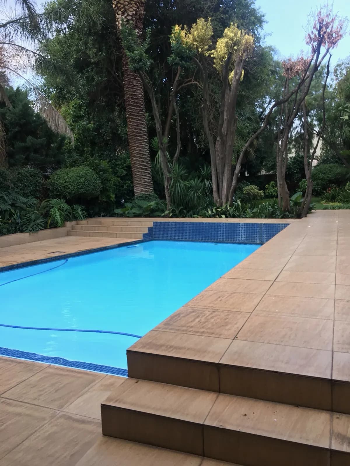 Garden & Pool at 27A on Angus — 07