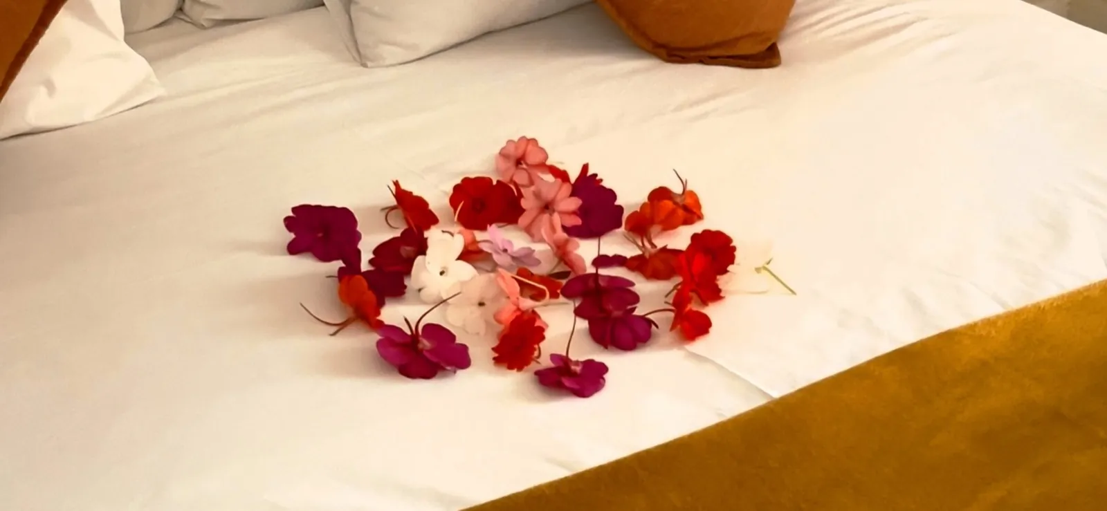 Peach Suite — detail 10